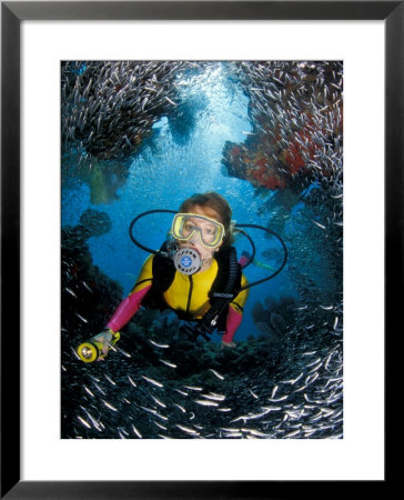 Minnow Caves And Scuba Diver, Key Largo, Florida, Usa by Michele Westmorland Pricing Limited Edition Print image