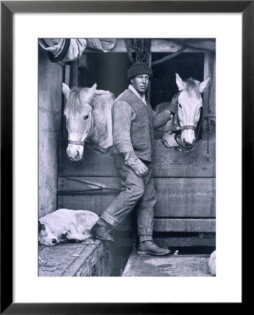 Capt. Oates And Two Of The Ponies On The Terra Nova, From Scott's Last Expedition by Herbert Ponting Pricing Limited Edition Print image