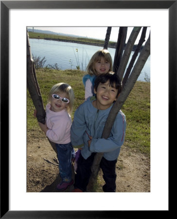 Kids Climb A Tree Near The Airport, Washington, D.C. by Stacy Gold Pricing Limited Edition Print image