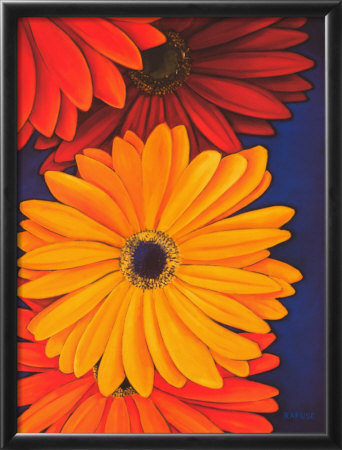 Gerberas by Will Rafuse Pricing Limited Edition Print image