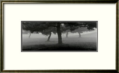 Trees In The Fog by Richard Calvo Pricing Limited Edition Print image