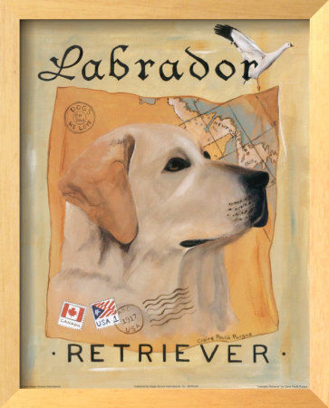 Labrador Retriever by Claire Pavlik Purgus Pricing Limited Edition Print image