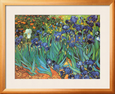 Garden Of Irises by Vincent Van Gogh Pricing Limited Edition Print image