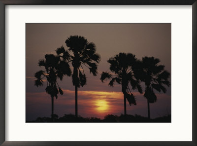 Sunset On Shire River by Anne Keiser Pricing Limited Edition Print image