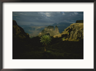 A View Of The Ethiopian Highland Habitat Of The Gelada by Michael Nichols Pricing Limited Edition Print image