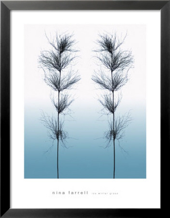 Ice Winter Grass by Nina Farrell Pricing Limited Edition Print image