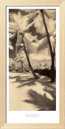 Palm Shadows Ii by Susan Friedman Pricing Limited Edition Print image