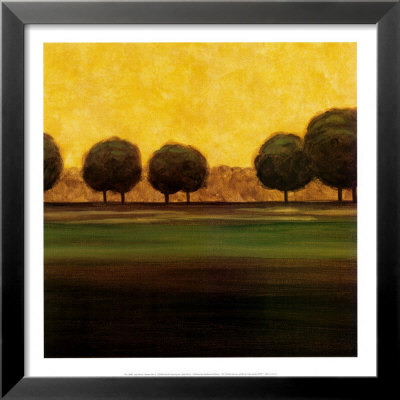 Autumn Sky Ii by Joel Harris Pricing Limited Edition Print image