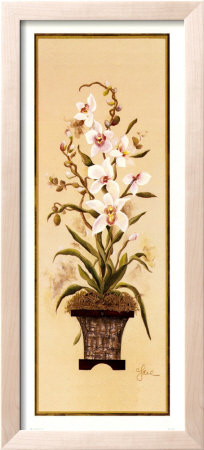 Orchid Ii by Constance Lael Pricing Limited Edition Print image