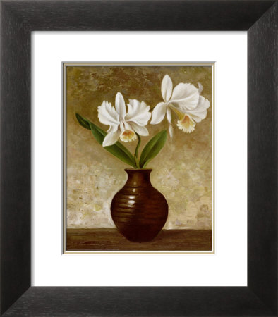 Flowering Orchid by Charles Gaul Pricing Limited Edition Print image