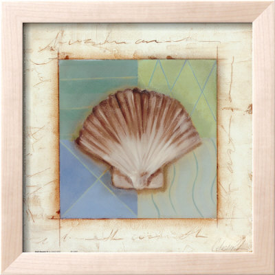 Shell Accents Iv by Celeste Peters Pricing Limited Edition Print image