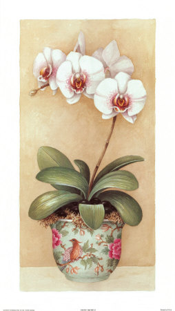 Exotic Orchids Ii by Jean Scott Tonge Pricing Limited Edition Print image