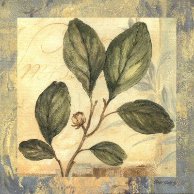 Leaf Botanicals I by Pamela Gladding Pricing Limited Edition Print image