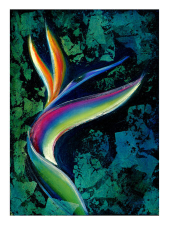 Bird Of Paradise by Marcella Rose Pricing Limited Edition Print image