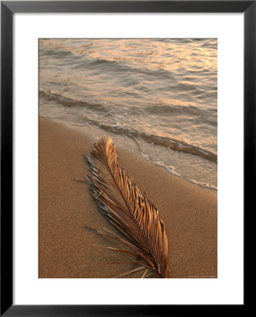 Hawaii, Seascapes by Keith Levit Pricing Limited Edition Print image