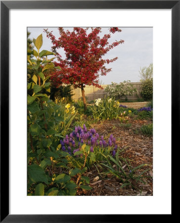 Flower Garden Outside Home by Mark Segal Pricing Limited Edition Print image