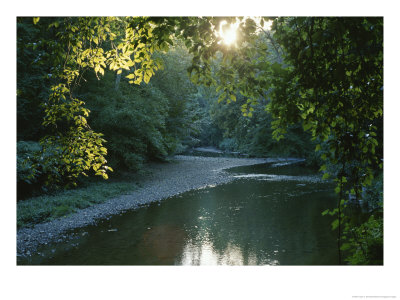 A Sunset View Of Rock Creek In Rock Creek Park by Taylor S. Kennedy Pricing Limited Edition Print image