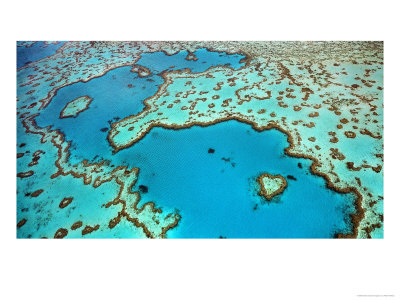 Aerial Of Great Barrier Reef, Australia by Peter Walton Pricing Limited Edition Print image