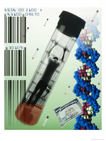 Dna Fingerprinting Or Blood Testing by Josh Mitchell Pricing Limited Edition Print image