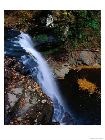 Adirondack State Park, Lake Placid, Ny by Jim Schwabel Pricing Limited Edition Print image