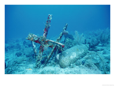 Fragments Of Shipwreck Off The Bakhama Islands by Wolcott Henry Pricing Limited Edition Print image