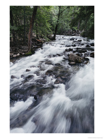 A Shallow Woodland Stream Tumbles Over Its Rocky Bed by Melissa Farlow Pricing Limited Edition Print image