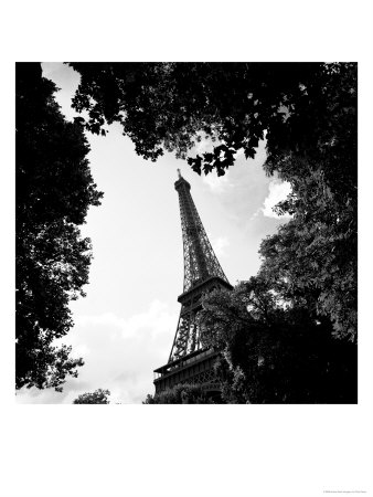 Eiffel Tower Through Trees Paris, France by Eric Kamp Pricing Limited Edition Print image