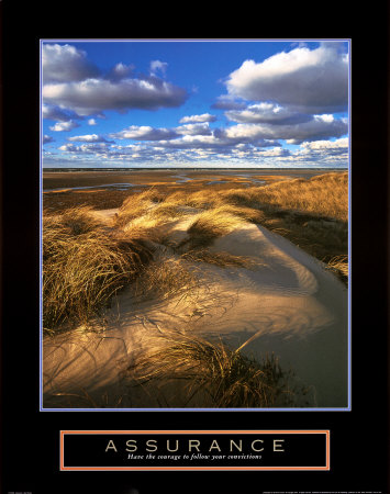 Assurance: Sand Dunes by Dermot Conlan Pricing Limited Edition Print image