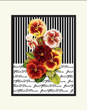 Pansies With Stripes by Cynthia Hart Pricing Limited Edition Print image