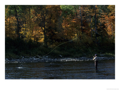 Fly-Fisherman Plays With An Atlantic Salmon On His Line by Paul Nicklen Pricing Limited Edition Print image