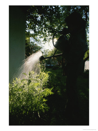 Silhouette Of A Person Watering A Garden In Bavaria, Germany by Peter Carsten Pricing Limited Edition Print image