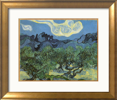The Olive Trees, 1889 by Vincent Van Gogh Pricing Limited Edition Print image