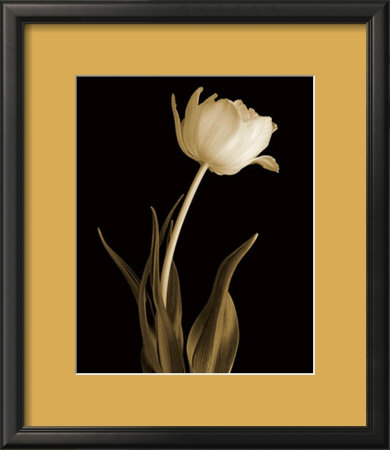 Classic Beauty by Charles Britt Pricing Limited Edition Print image