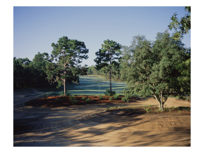 El Diablo Golf & Country Club, Hole 5 by Stephen Szurlej Pricing Limited Edition Print image