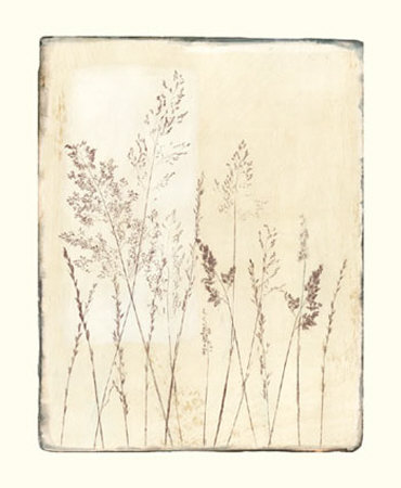 Field Flowers Ii by Noya Huynh Pricing Limited Edition Print image