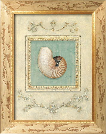 Classic Seashell by Arnie Fisk Pricing Limited Edition Print image