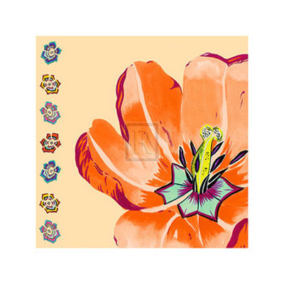 Full Bloom I by Fiona Mackechnie Pricing Limited Edition Print image