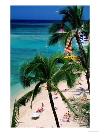 Palm Trees Over Waikiki Beach, Waikiki, U.S.A. by Ann Cecil Pricing Limited Edition Print image