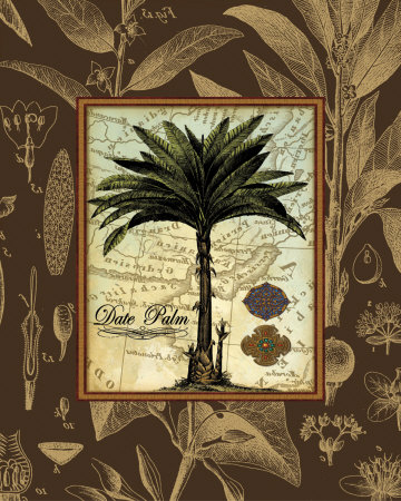 Date Palm by Karl Rattner Pricing Limited Edition Print image