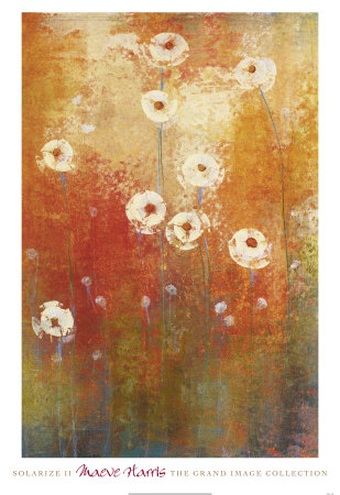 Solarize Ii by Maeve Harris Pricing Limited Edition Print image