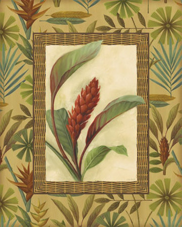 Flowers Of Paradise I by Lisa Audit Pricing Limited Edition Print image