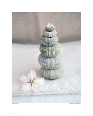 Le Bonheur Est Dans Le Bain by Amelie Vuillon Pricing Limited Edition Print image