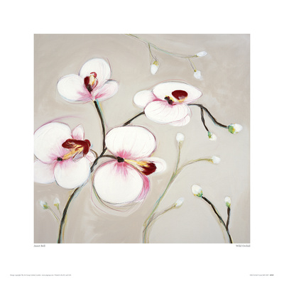 Wild Orchid by Janet Bell Pricing Limited Edition Print image