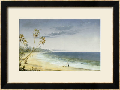 Cuban Landscape, 1866 by Charles De Wolf Brownell Pricing Limited Edition Print image