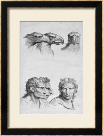 Similarities Between The Head Of An Eagle And A Man by Charles Le Brun Pricing Limited Edition Print image