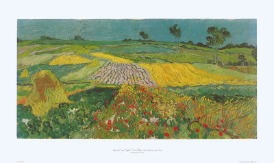 The Lowlands At Auvers-Sur-Oise by Vincent Van Gogh Pricing Limited Edition Print image