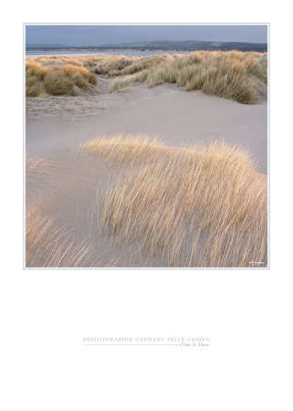 Clair De Dune by Georges-Felix Cohen Pricing Limited Edition Print image