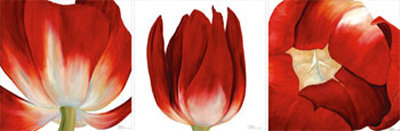 Red Tulip Trio by Debra Jackson Pricing Limited Edition Print image