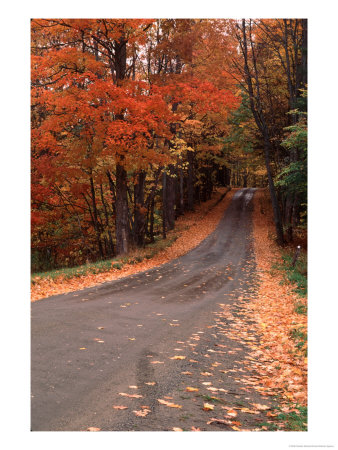Country Road In Autumn, Vermont, Usa by Charles Sleicher Pricing Limited Edition Print image