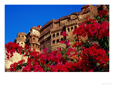 Meherangarh Fort With Pink Flowers In Foreground, Jodhpur, India by Anthony Plummer Pricing Limited Edition Print image